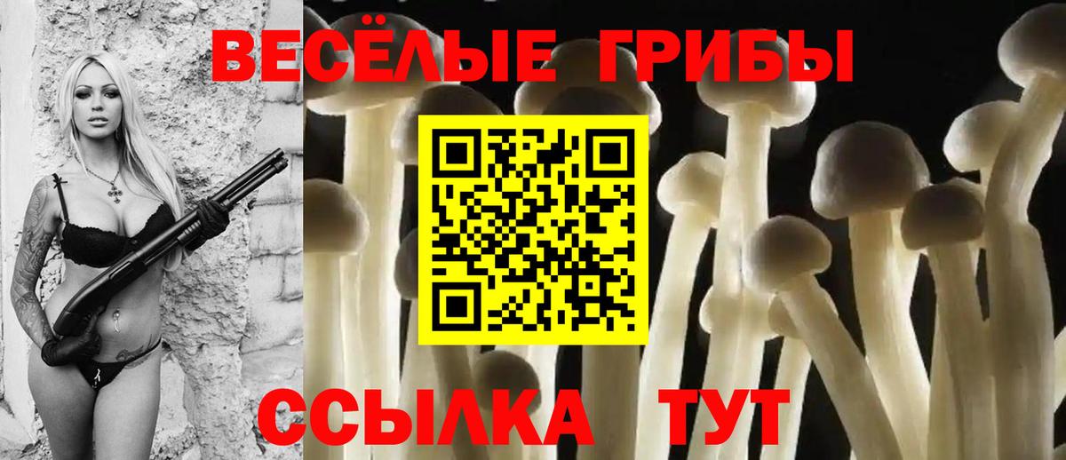 Псилоцибиновые грибы GOLDEN TEACHER Братск