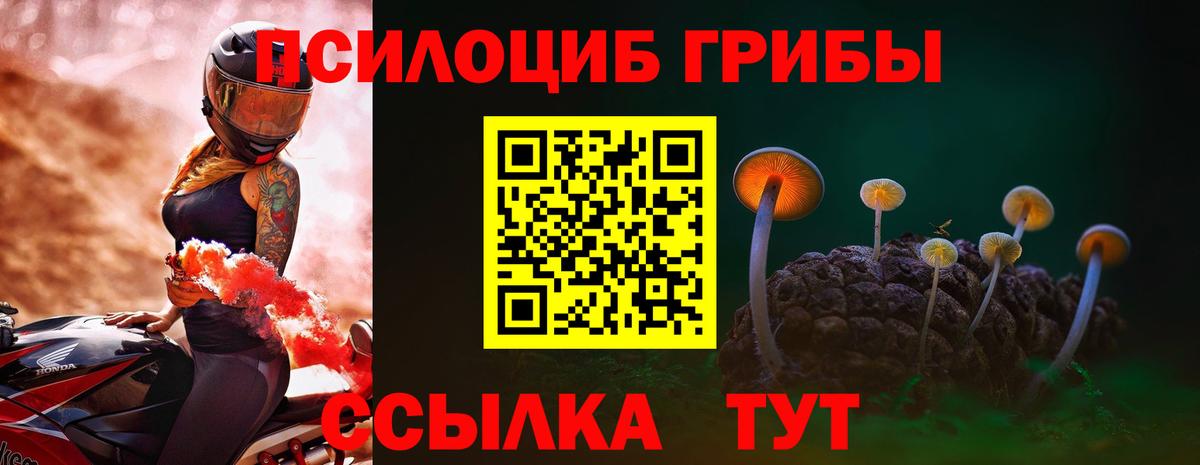 Галлюциногенные грибы Magic Shrooms  Вход с VPN  Братск 